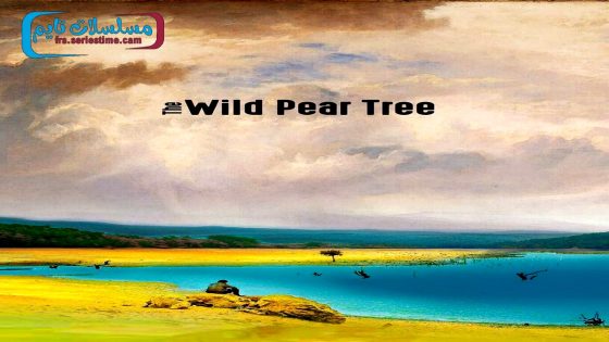 فيلم شجرة الكمثرى البرية 2018 قصة عشق