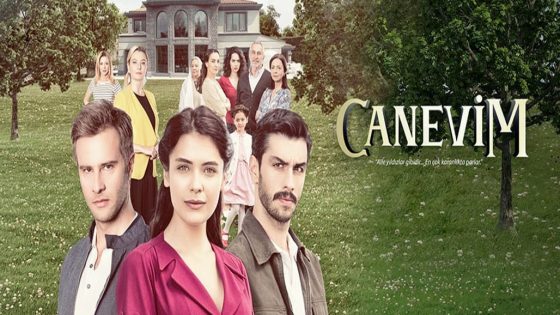 مسلسل قلبي الحلقة 17 والاخيرة قصة عشق