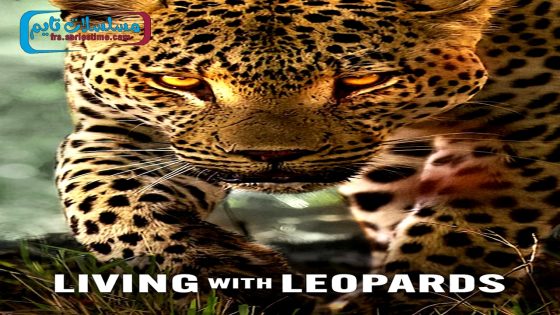 فيلم Living with Leopards 2024 مترجم