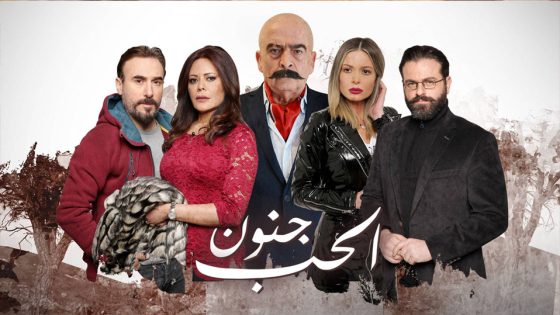 مسلسل الحب جنون الجزء الاول الحلقة 17