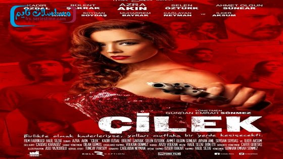 فيلم تشيليك 2014 قصة عشق