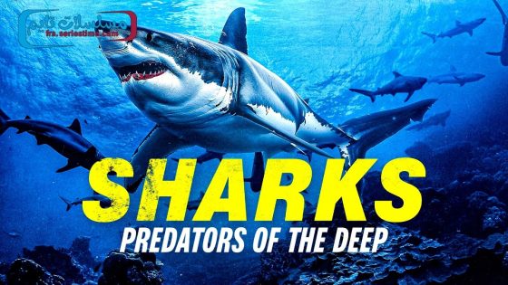 فيلم Sharks: Predators of the Deep 2024 مترجم