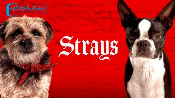 فيلم Strays 2023 مترجم